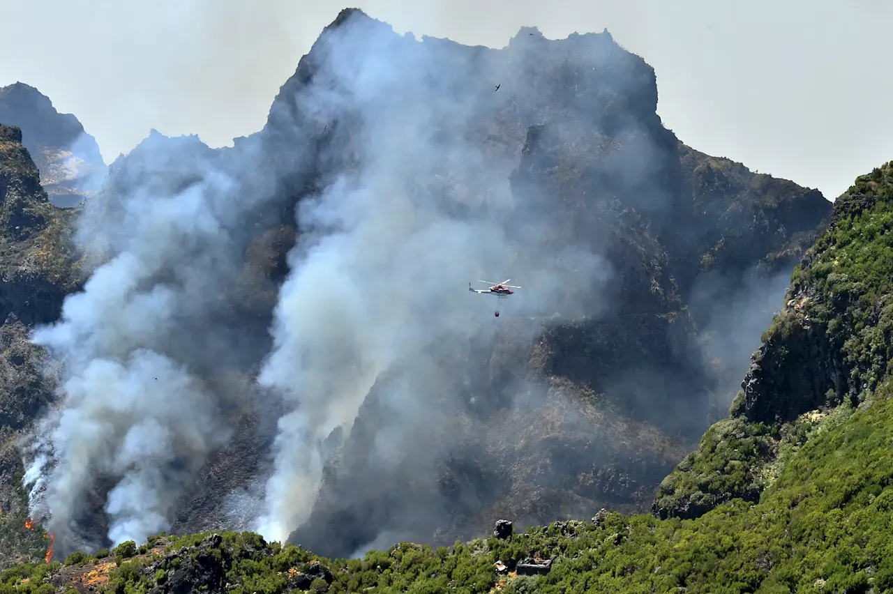 Incêndio na Madeira: Governo desmente pedido de aviões Canadair a Espanha