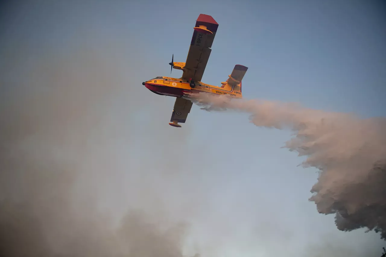 Madeira: Governo vai ativar Mecanismo Europeu de Proteção Civil e pedir dois Canadair