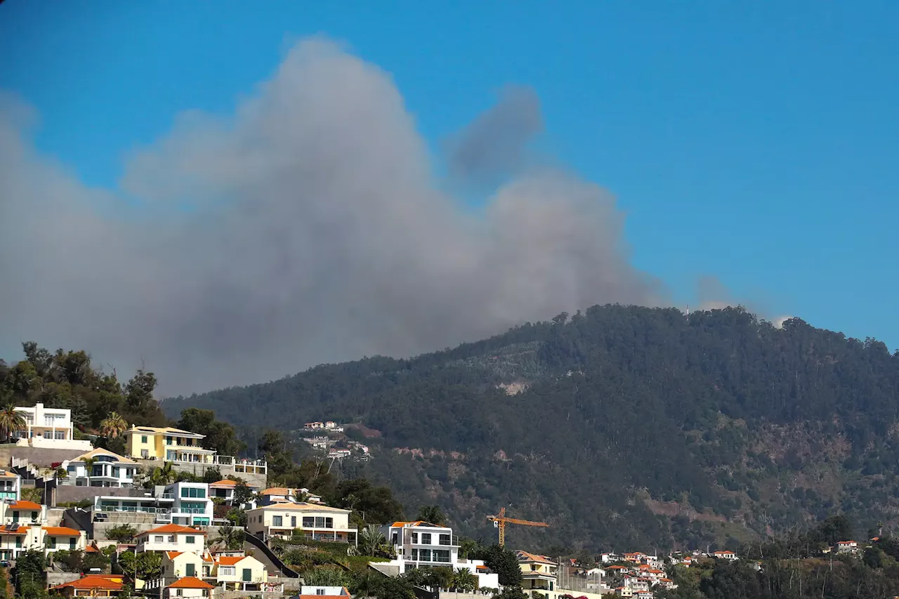 'Resposta tardia e insuficiente' da Proteção Civil da Madeira 'é inadmissível'