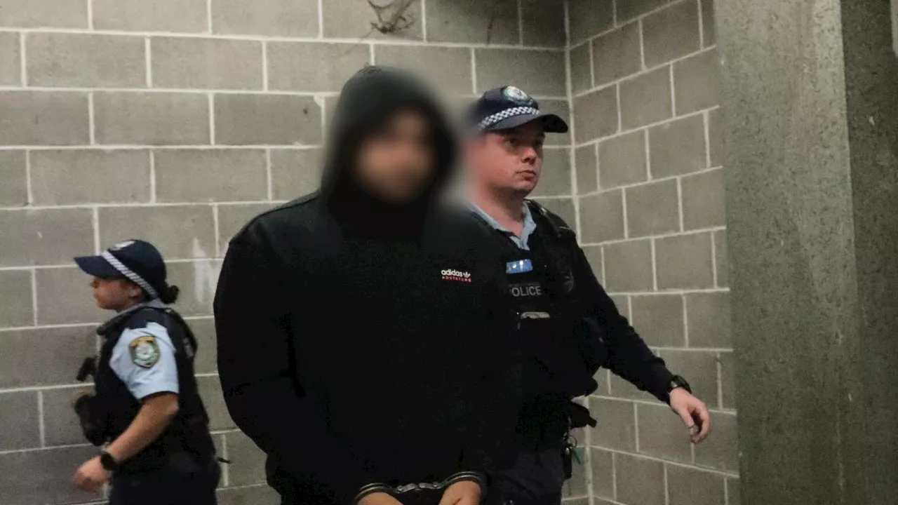 ‘Muscle for hire’: Cops bust Sydney freelance gang