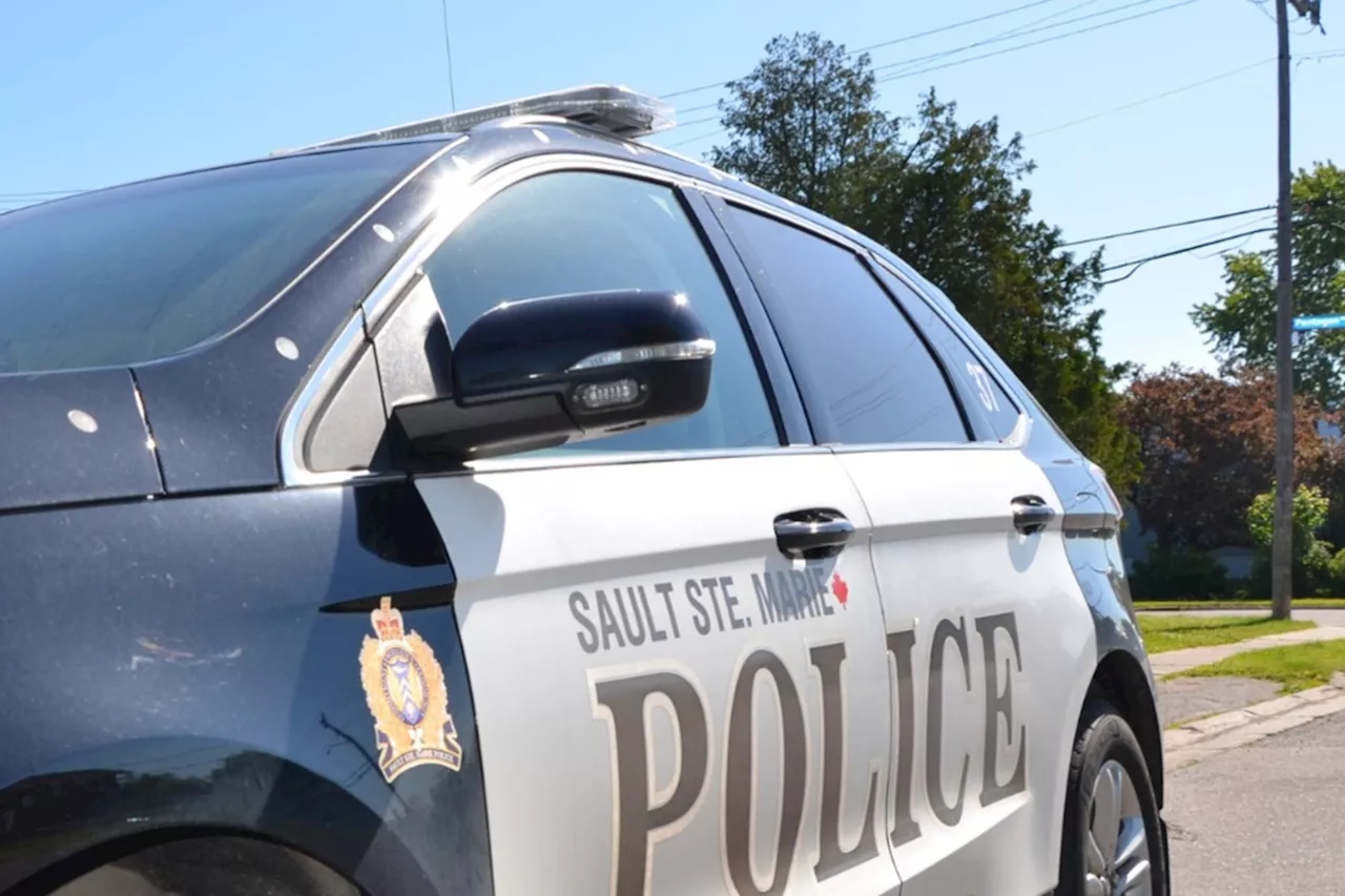 Police arrest Sault man in connection with trafficking probe