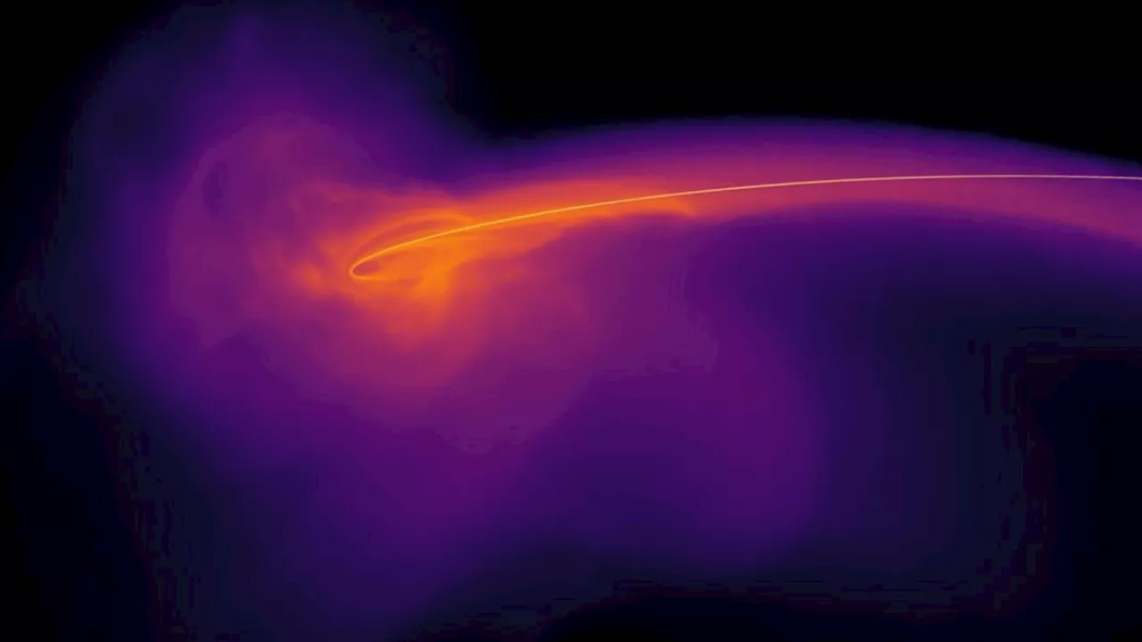 What happens if you throw a star at a black hole? Things get messy (video)