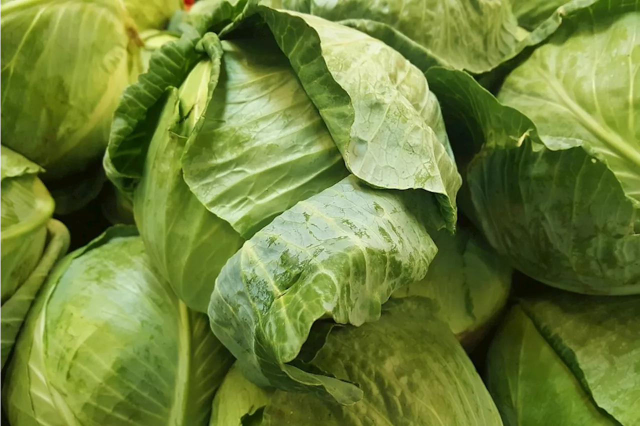 Lorry with pest-infested vegetables told to turn back to Singapore from Johor