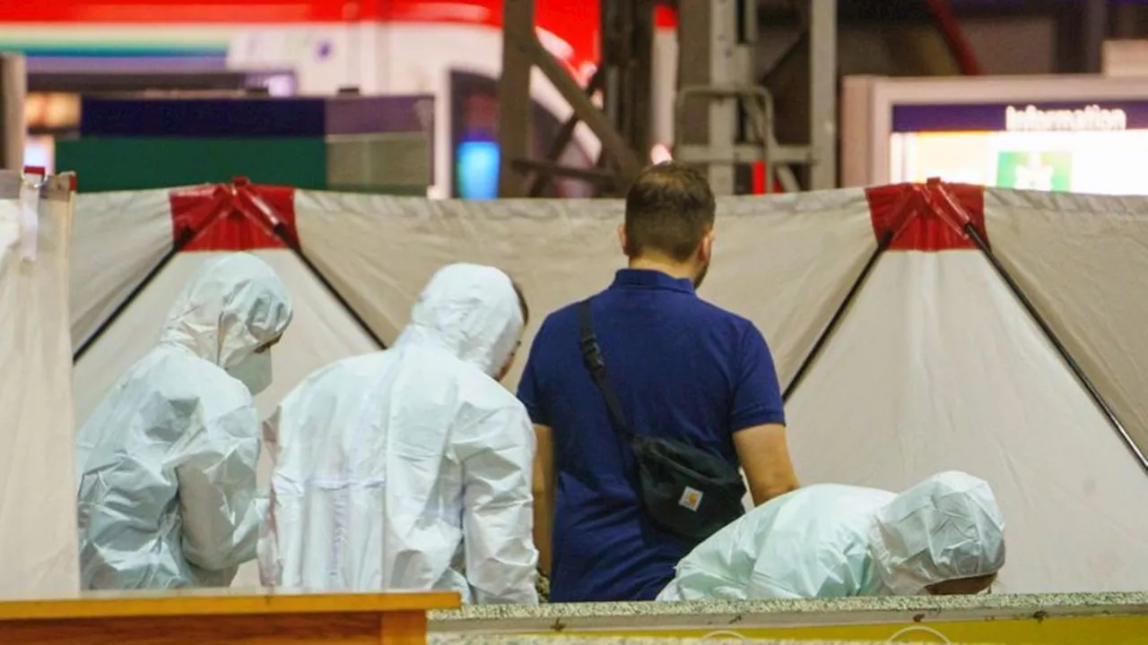 Mordverdacht: Mann stirbt bei Kopfschüssen im Frankfurter Hauptbahnhof