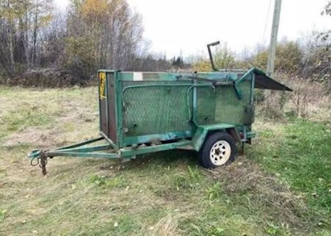 Fort William First Nation deploys bear traps