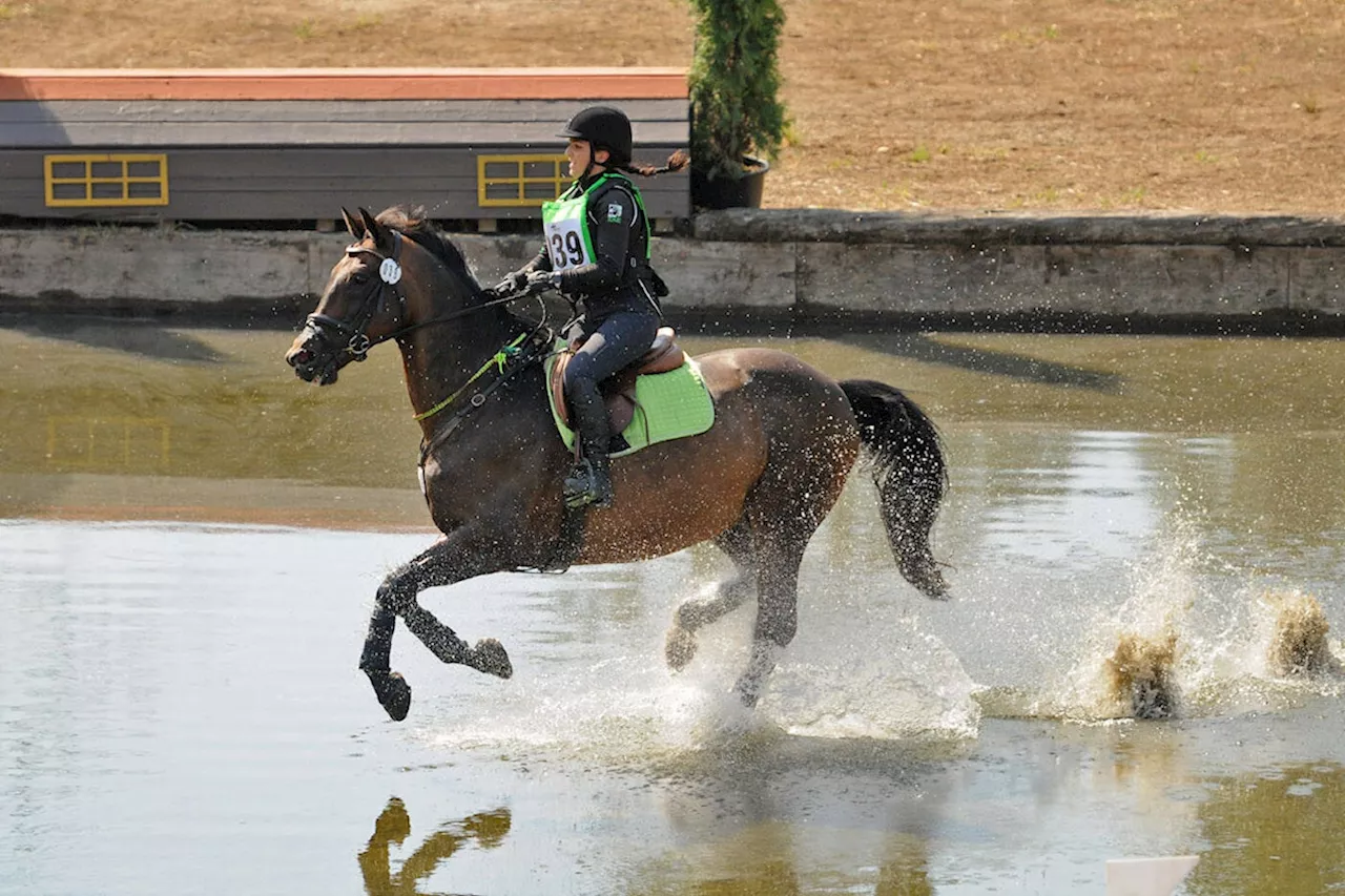 More than 130 riders compete at Horse Trials B.C. championships