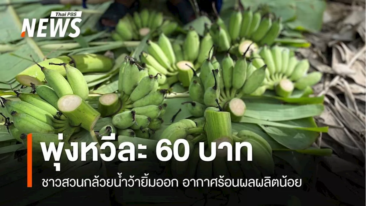 ราคาพุ่ง 'กล้วยน้ำว้า' ฉุดไม่อยู่ขายหวีละ 80 บาท