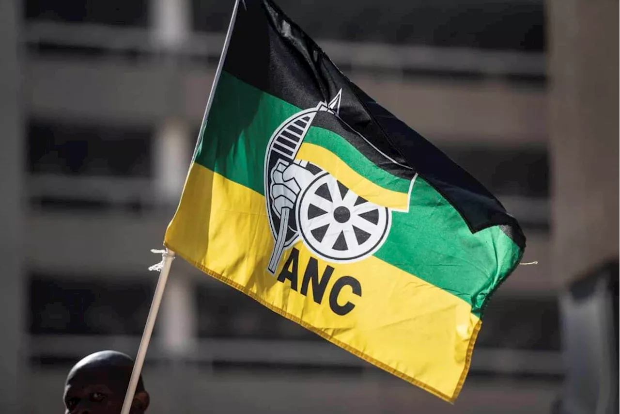 Dissolve ANC Gauteng PEC to revive Joburg