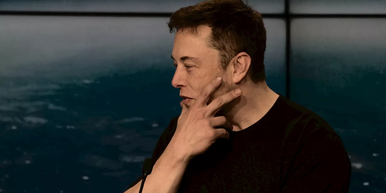 The very precious life of Elon Musk