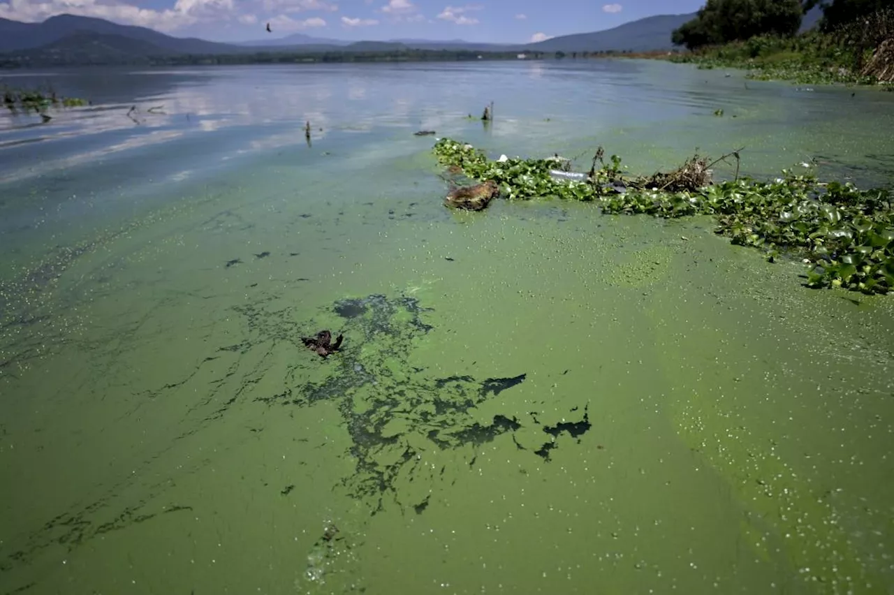 Cleanup hopes for neighbors of Mexico's 'toilet bowl' wastewater dam