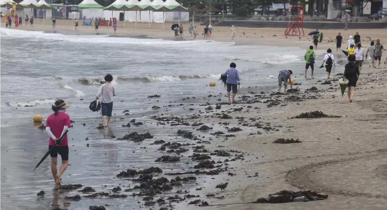 Tropical depression dumps heavy rain in southern South Korea and Seoul area