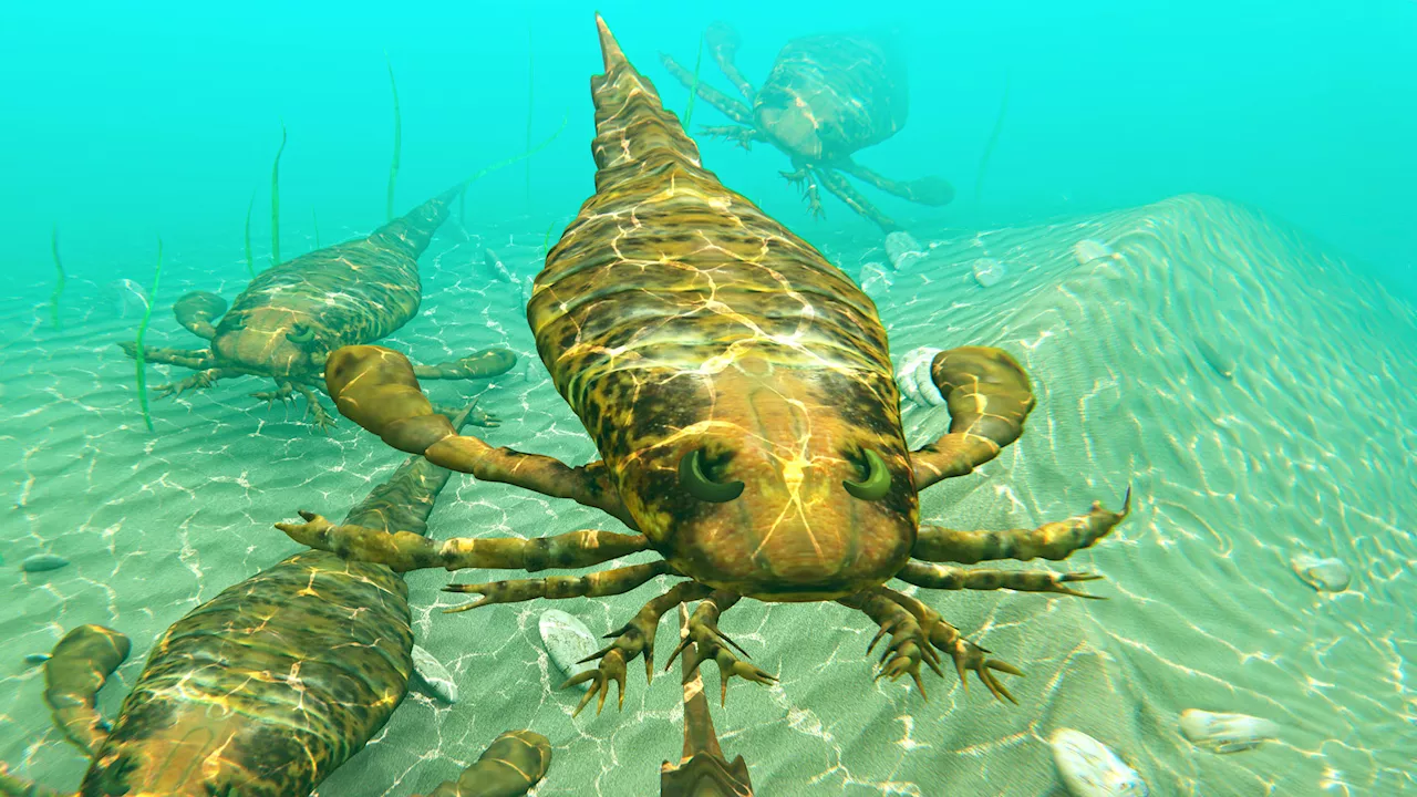 Giant ‘terrifying’ 8-foot sea scorpions ‘substantially larger than humans’ found