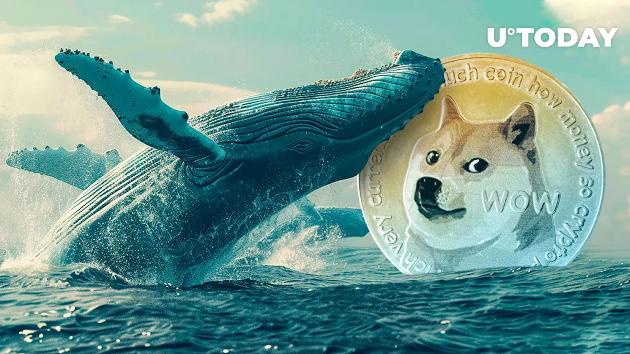 Dogecoin Whales Worryingly Cash Out Amid DOGE Price Pump