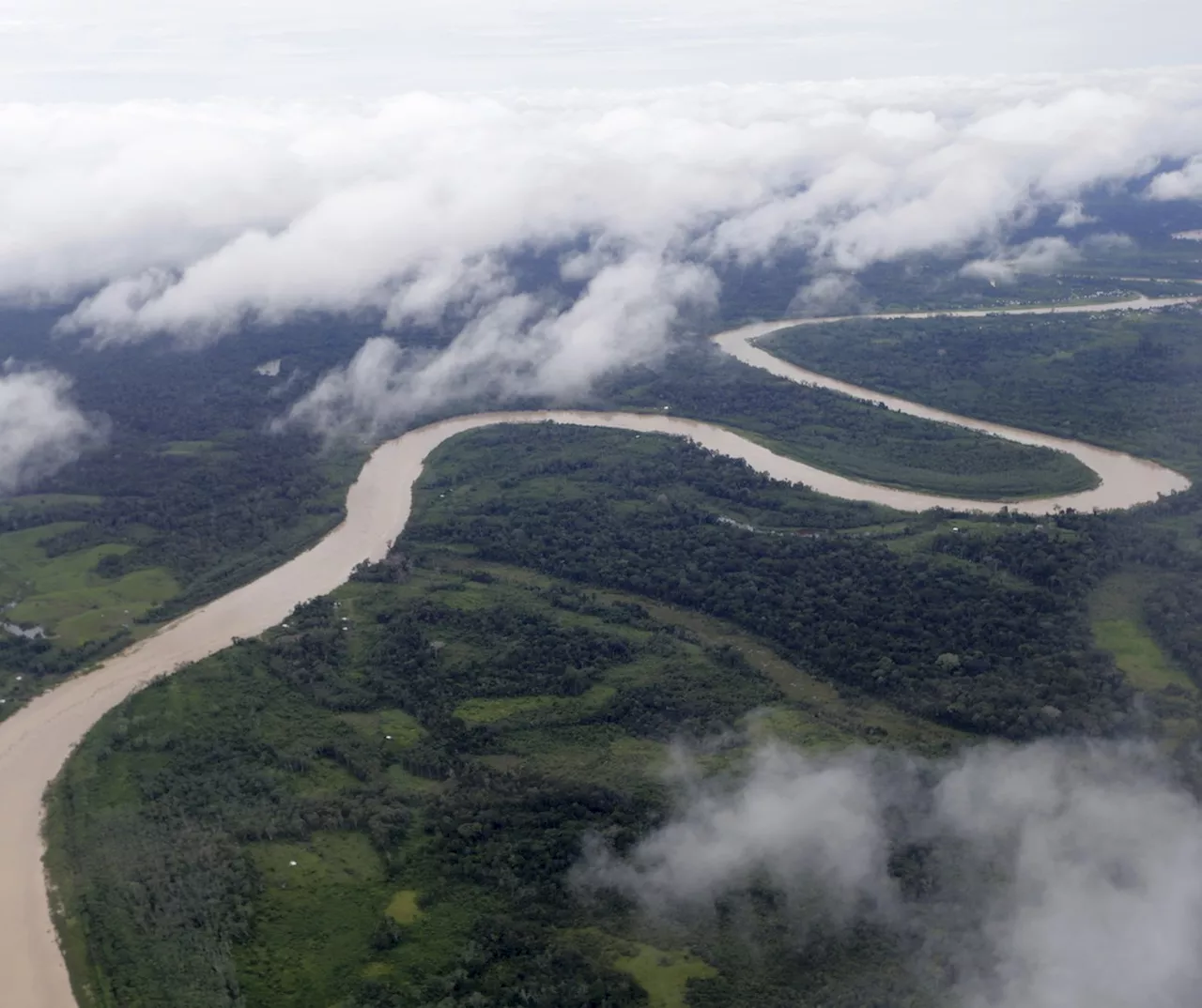 Brasil já perdeu 33% das áreas naturais de seu território, diz MapBiomas