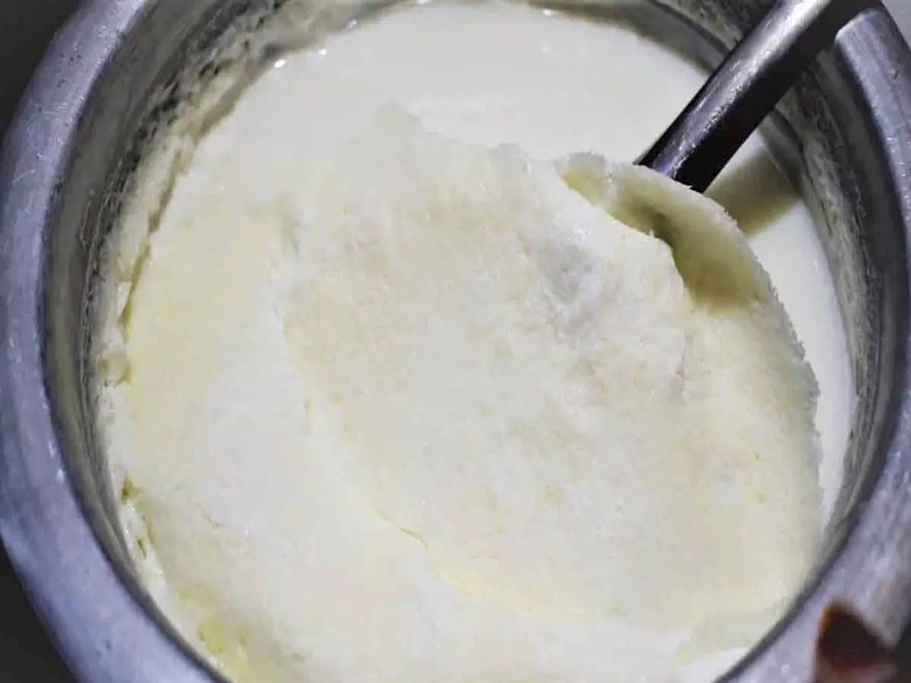 Thick Malai: આ ટીપ્સ ફોલો કરશો તો રોજ દૂધ પર જામશે જાડી મલાઈ, ઘી પણ થાશે વધારે