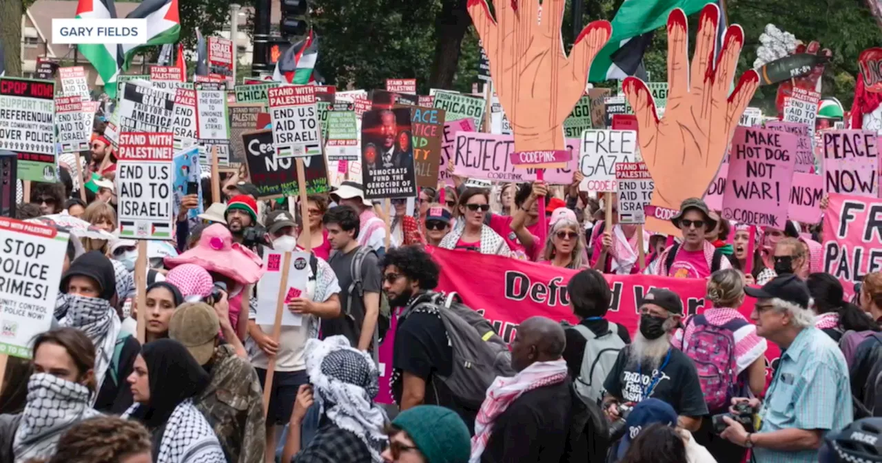 UCSD professor joins war protests outside DNC in Chicago