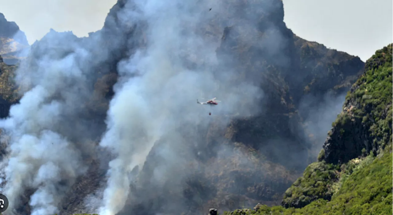 Portugal seeks EU help as wildfire threatens UNESCO-listed forest