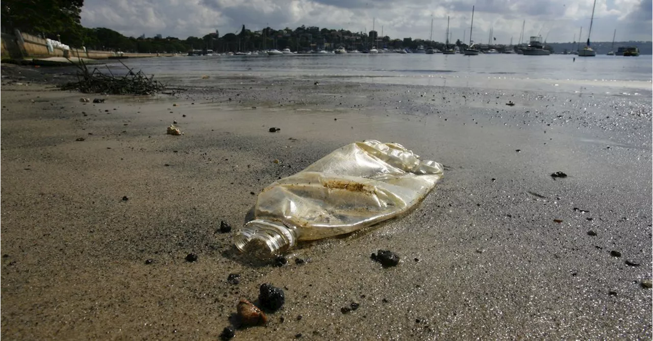 Australians' litter floating to Antarctica carrying invasive species