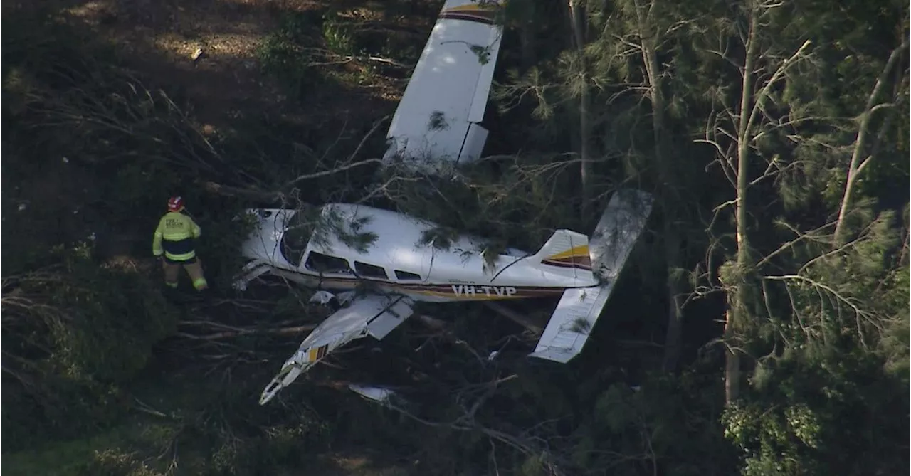 Passenger and pilot walk away from light plane crash in Sydney park