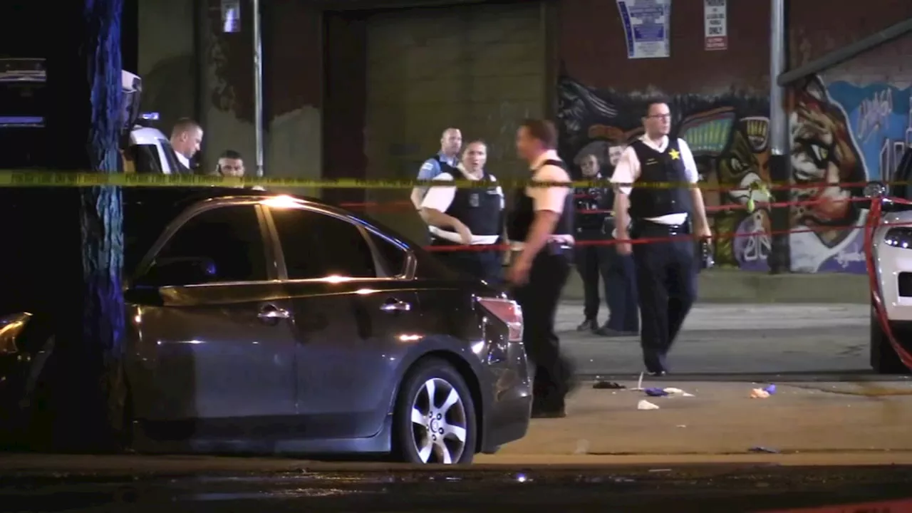 Man allegedly shot by Plainfield teen who was fatally shot by Chicago police in Pilsen dies