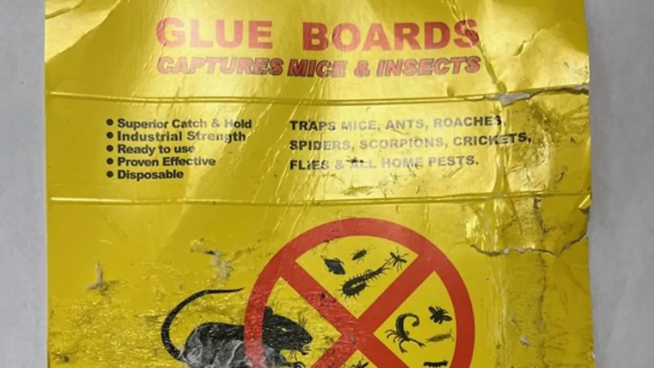 Rye residents warned of thieves using mouse glue traps to steal mail