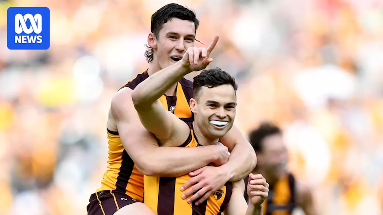 Breaking down the numbers behind Hawthorn's staggering rise up the AFL ladder in 2024