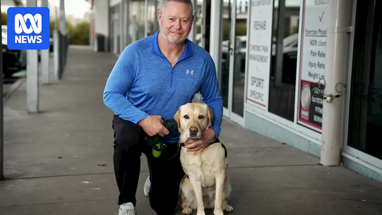 They didn't make it as guide dogs, but these Labradors have been retrained to support veterans and first responders