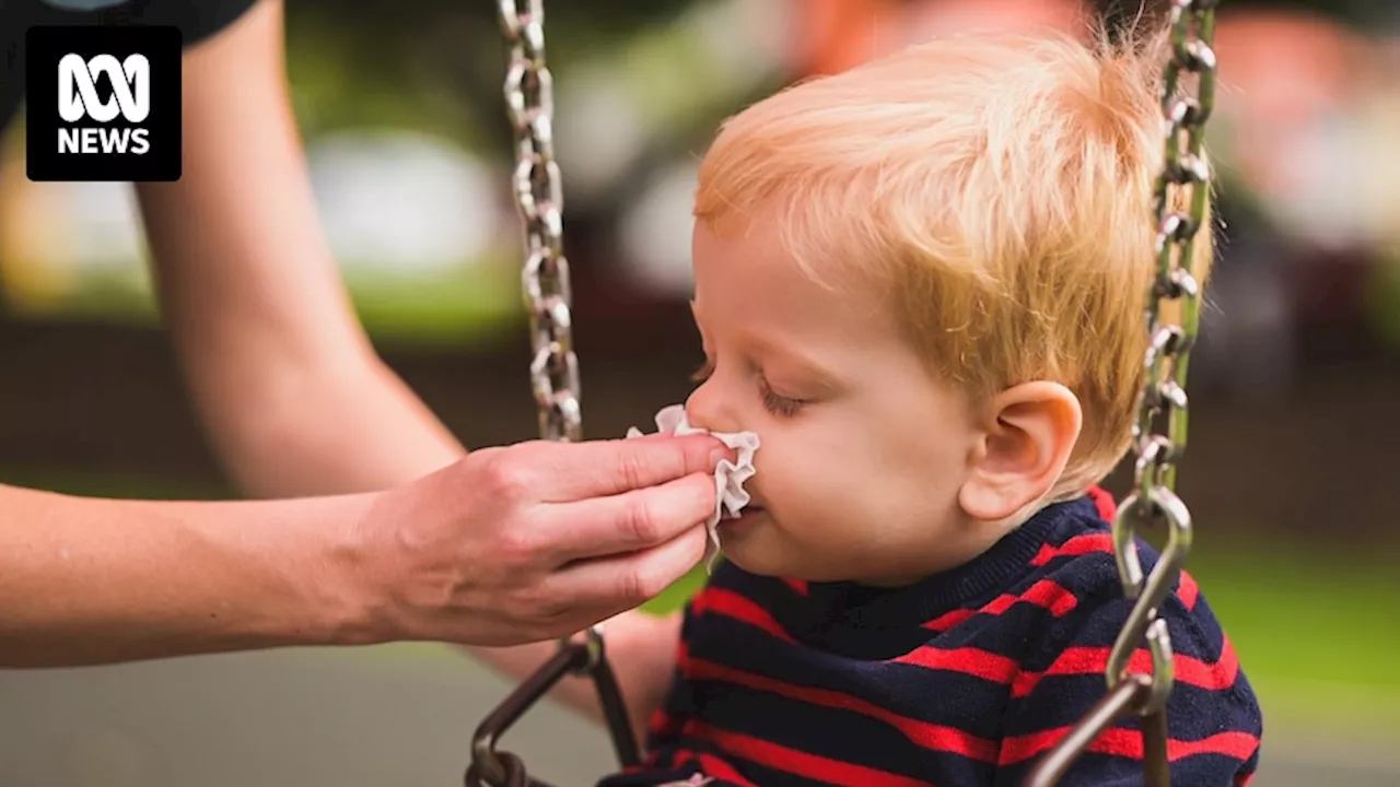 'Urgent' public health concerns raised as whooping cough cases reach nine-year high