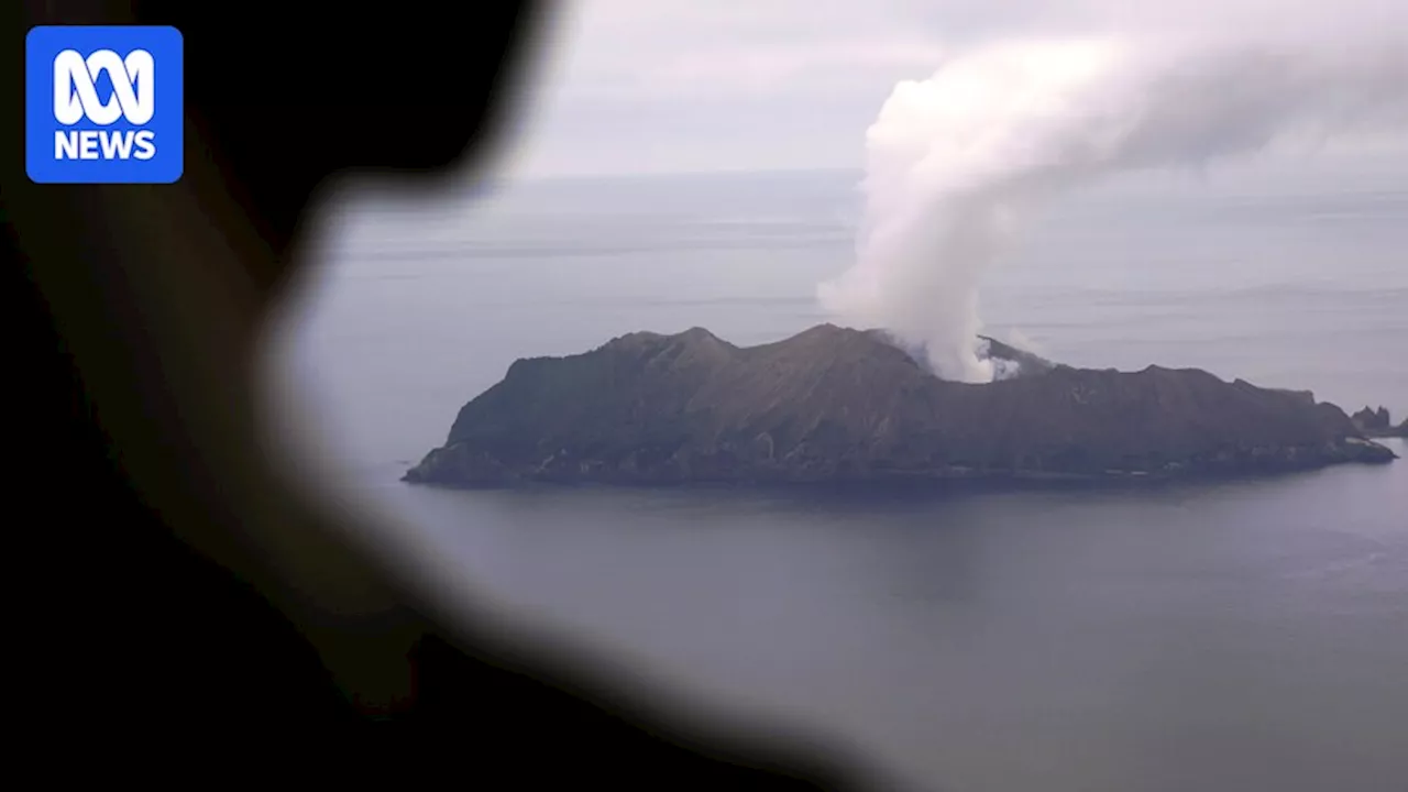 Volcanic cloud from Whakaari White Island halts flights