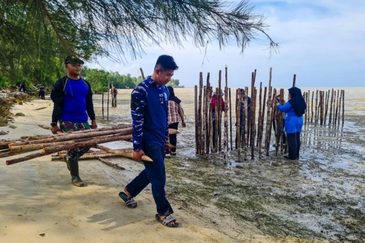 Lanud RSA Natuna percepat penanaman 50 ribu mangrove