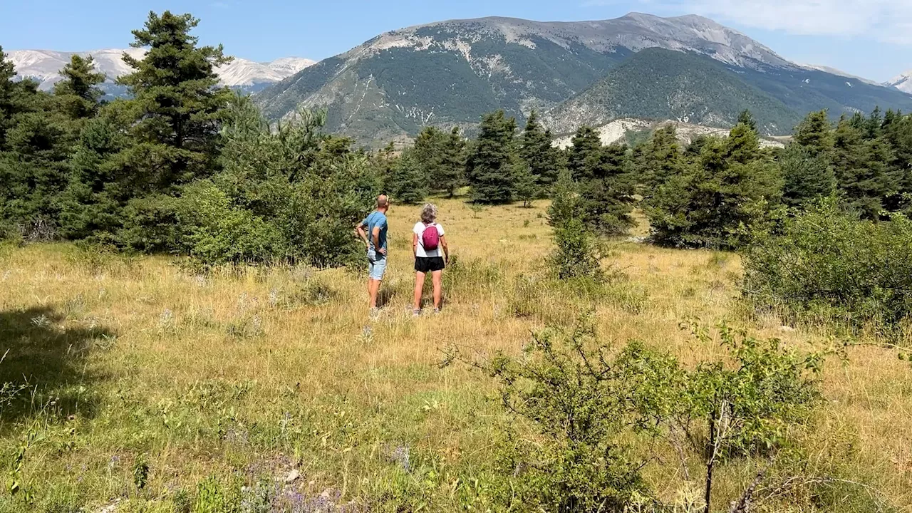 Alpes-de-Haute-Provence: le sud du département placé en 'crise' ou 'alerte renforcée' sécheresse