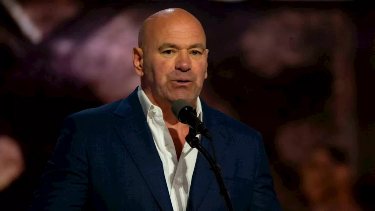 UFC: Präsident Dana White teilt aus: „Unsere Kämpfer sind so unfassbar dumm!“