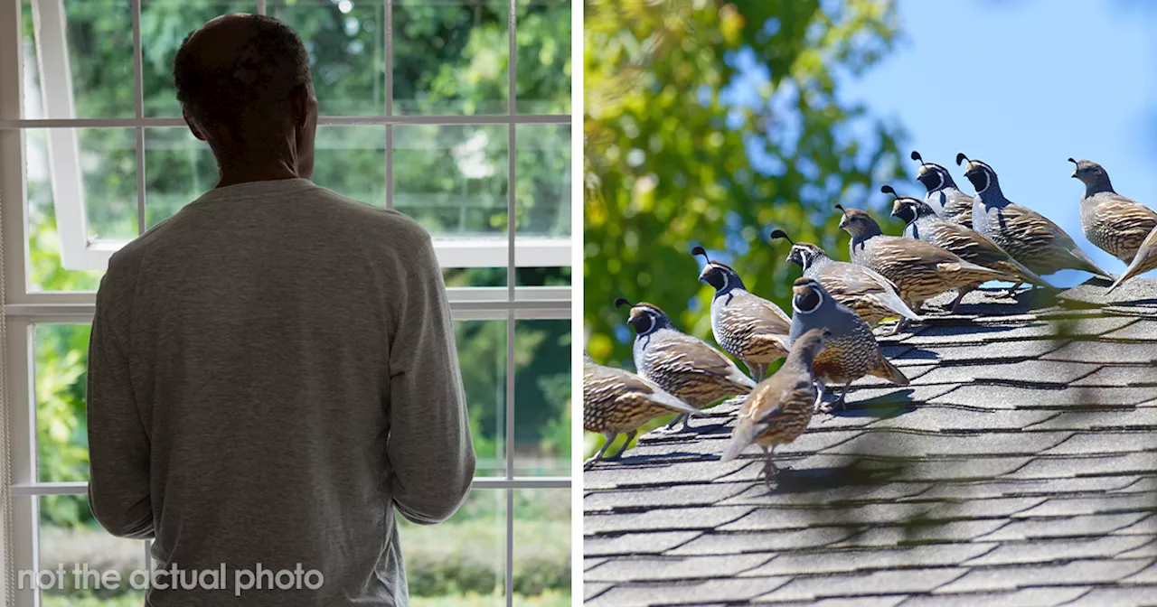 People Fail To Reason With Loud Creepy Neighbor, So Woman Ensures He Suffers Daily