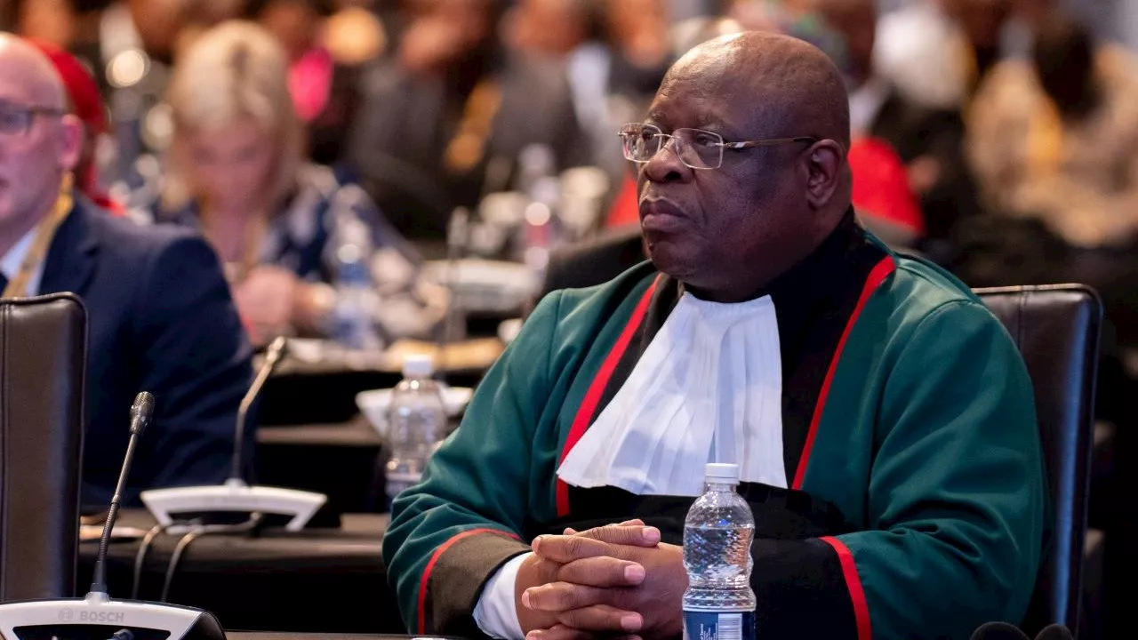 Chief Justice Raymond Zondo hangs up green robes after 27 years