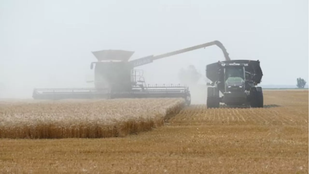 Manitoba farmers brace for 'catastrophe unfolding' as potential railway stoppage looms