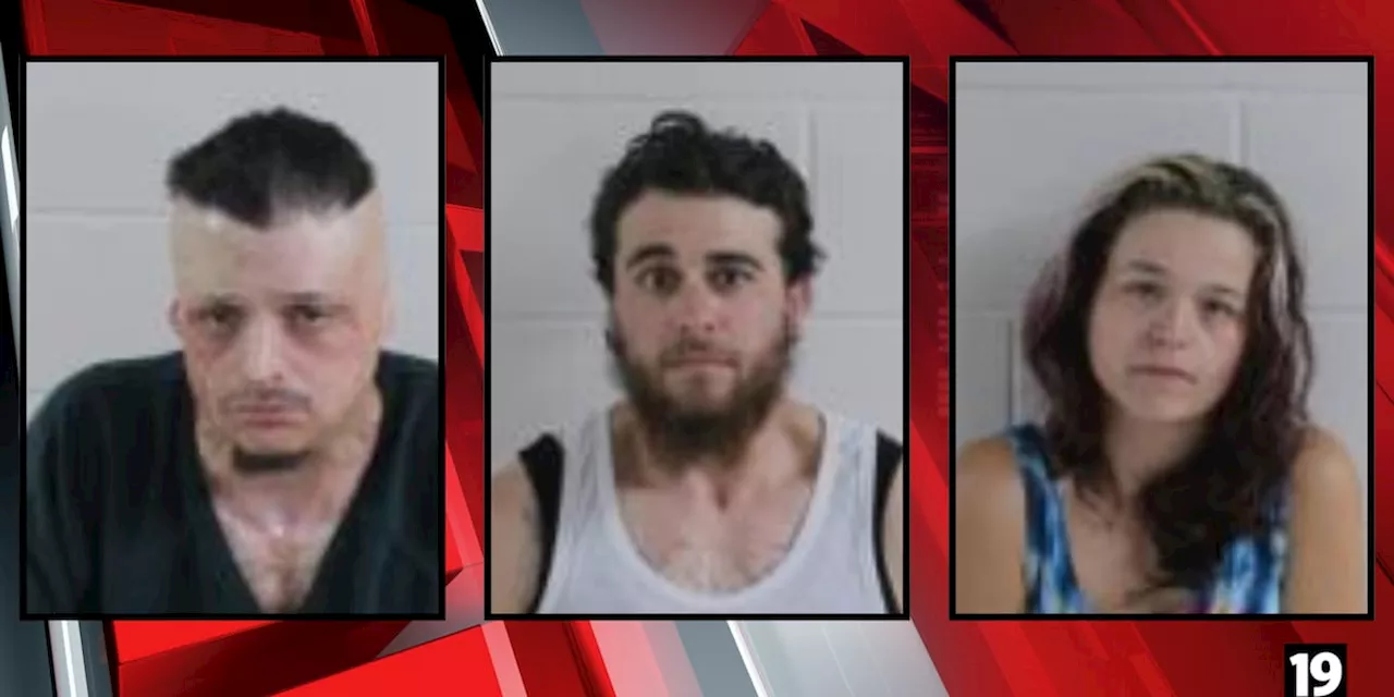 3 charged after 6-year-old boy in handcuffs attacked by pit bull in Ashland County