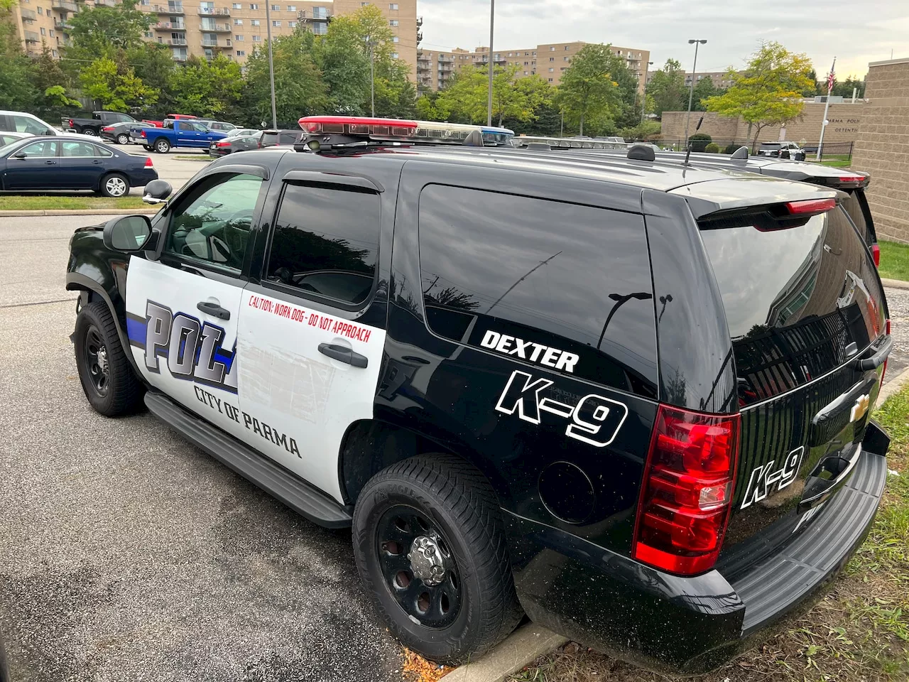 Police chase of suspicious vehicles leads to three stolen cars: Parma Police Blotter