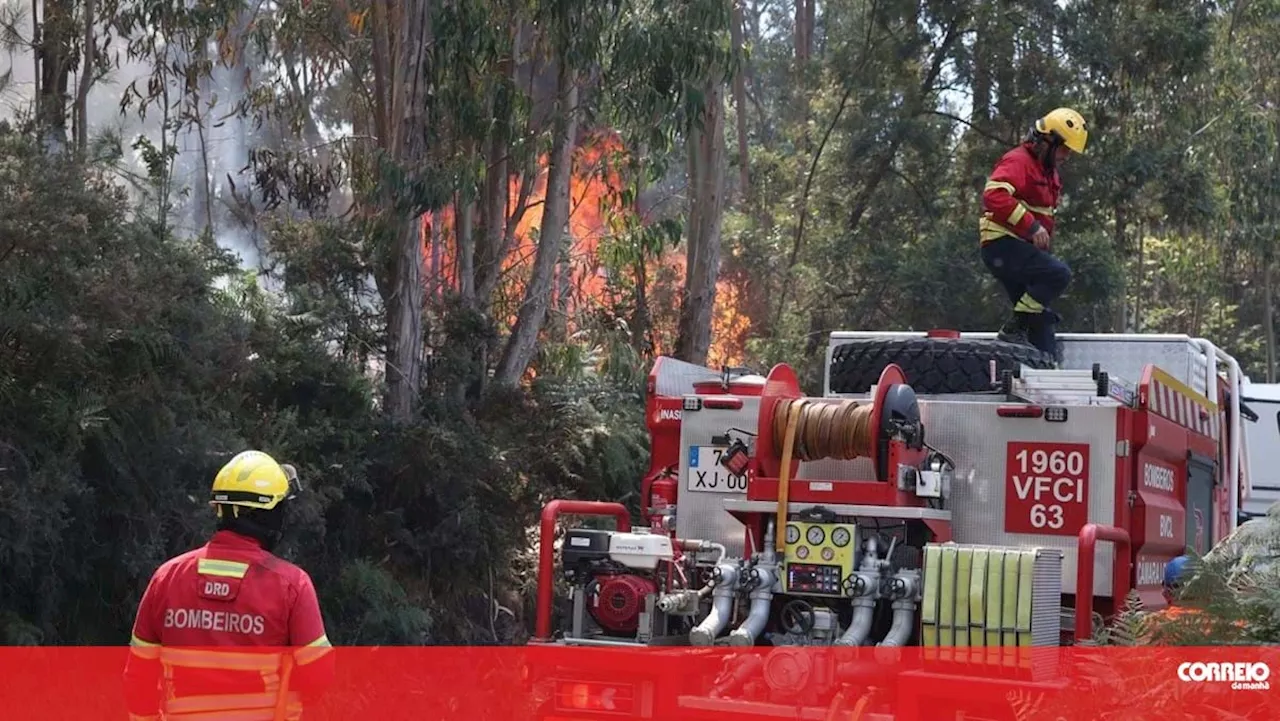 Comissão Europeia diz poder mobilizar mais recursos para auxiliar combate ao incêndio na Madeira