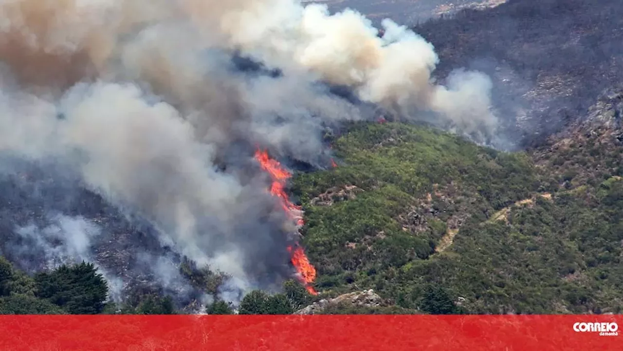 Resposta De Emergência Coração Verde Da Madeira Arde Há Uma Semana Incêndios Head Topics 0757