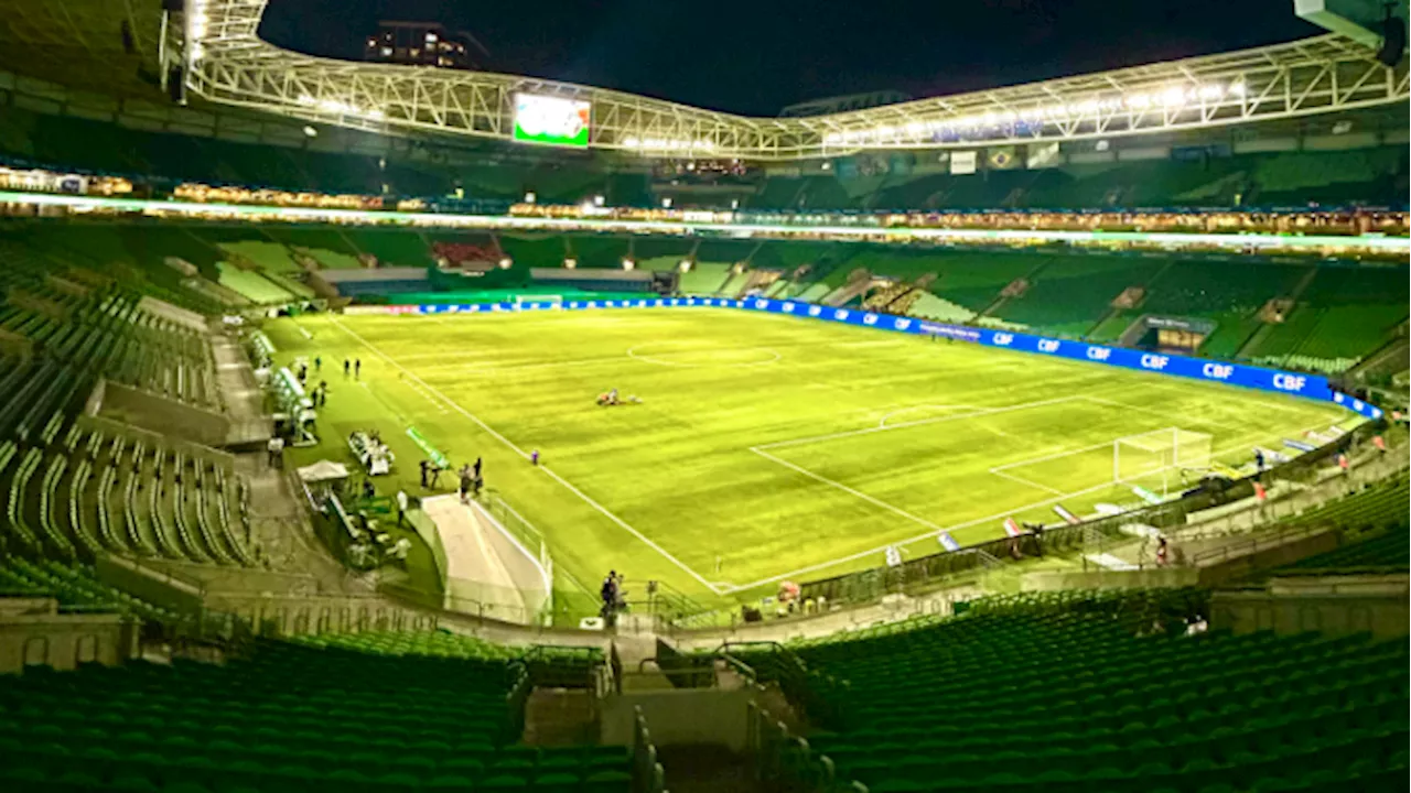 Palmeiras toma decisão sobre torcedor que mostrou pênis a rivais no Allianz