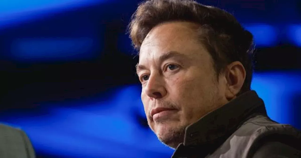 ELON MUSK lanzó una nueva INTELIGENCIA ARTIFICIAL: cuál es y qué ...