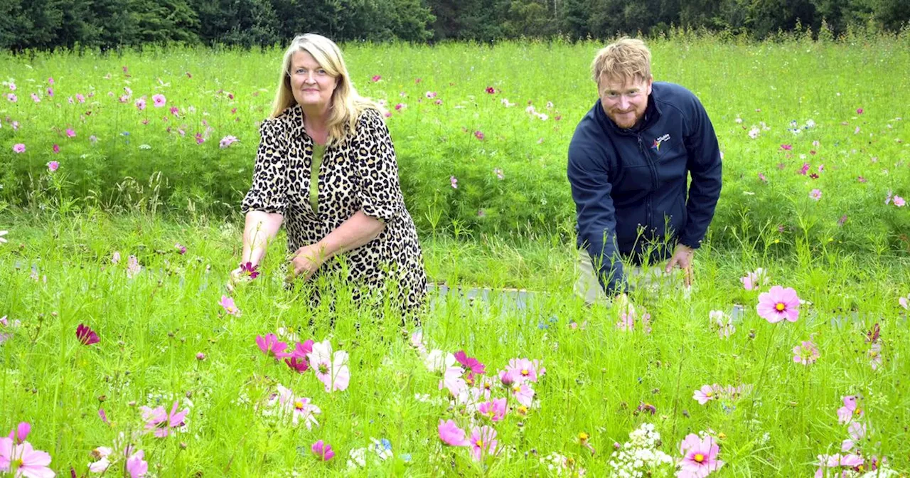 Wildflower projects bring colour to communities in North Lanarkshire