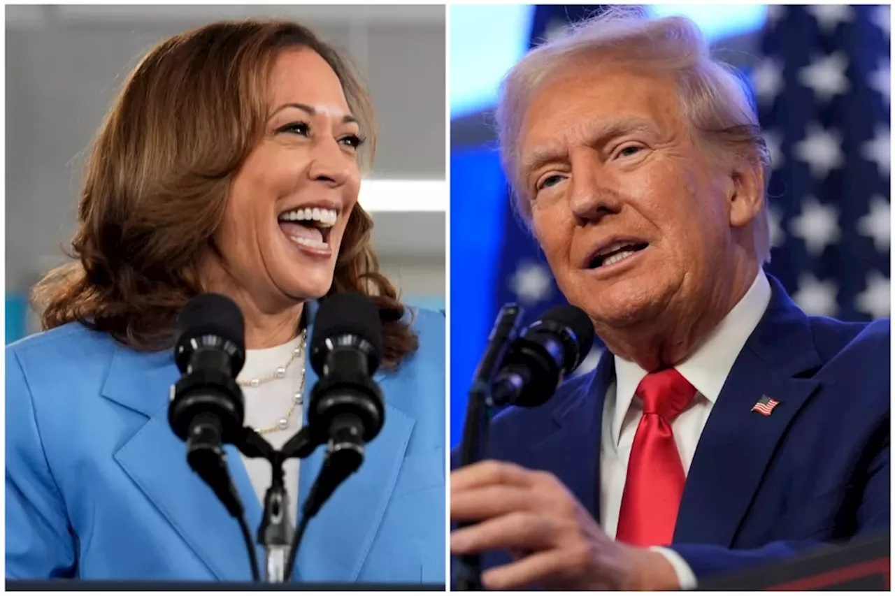 Harris ‘closing the gap’ with Trump, still trails by three percentage points: Poll