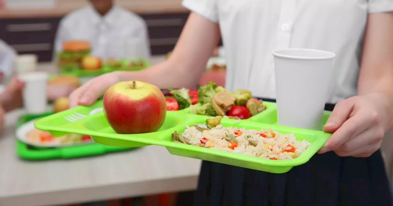 School lunches will still be free in Colorado this year, while lawmakers study funding options