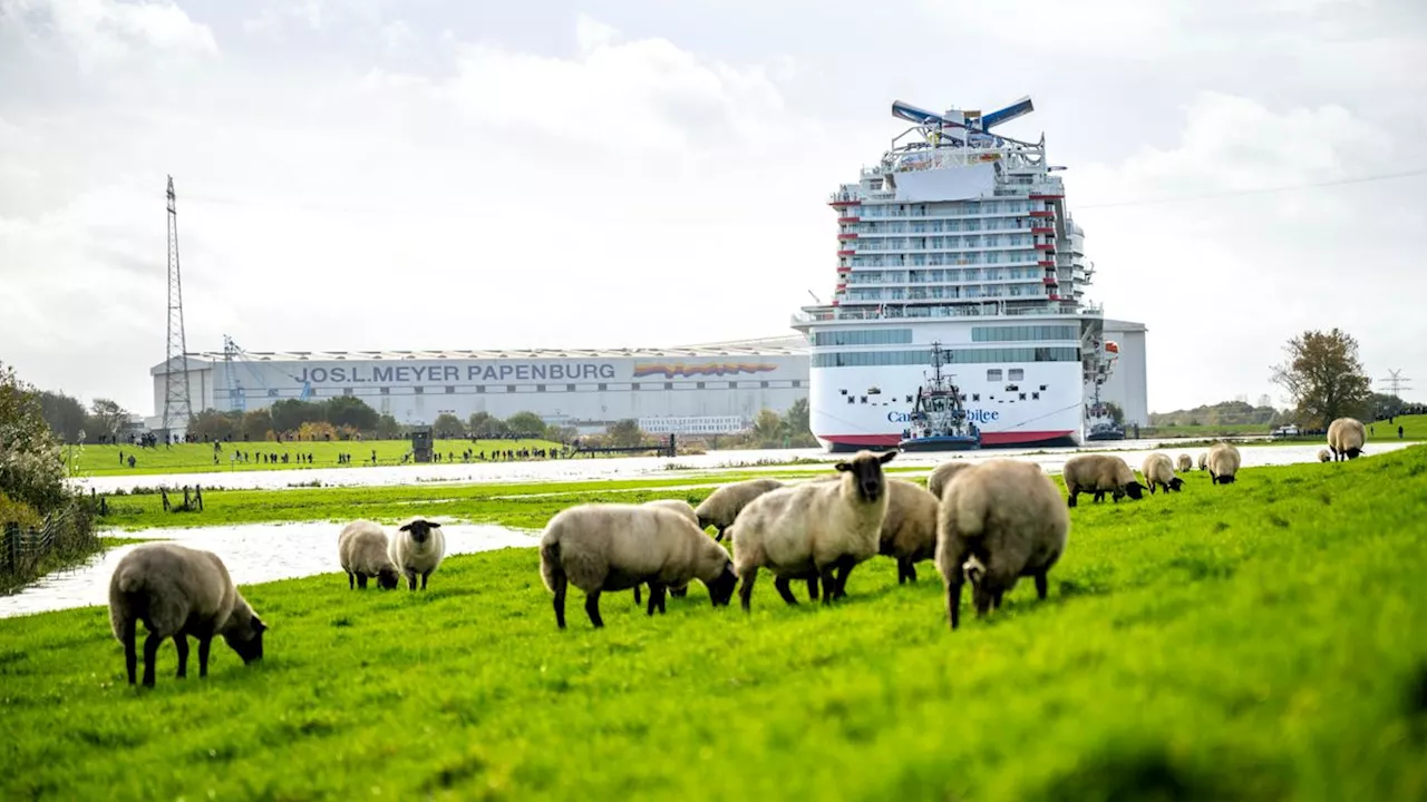 Steuergelder für Kreuzfahrtschiffe: Warum der Staat die Meyer Werft retten will