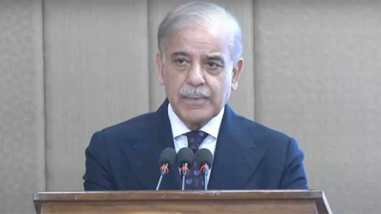 Buna-Raast project to promote financial transactions with Arab states: PM Shehbaz