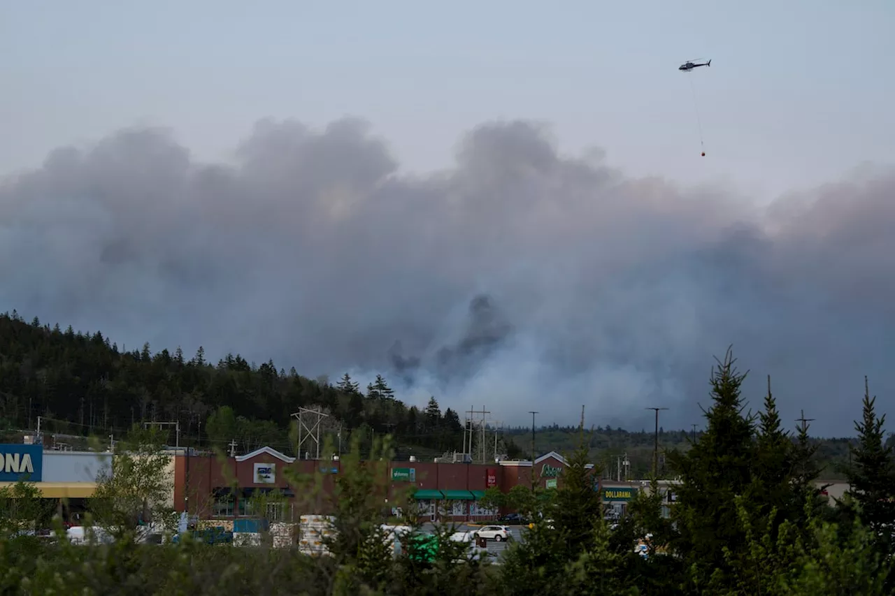 Halifax’s firefighters ill-prepared and equipped for wildfires: report