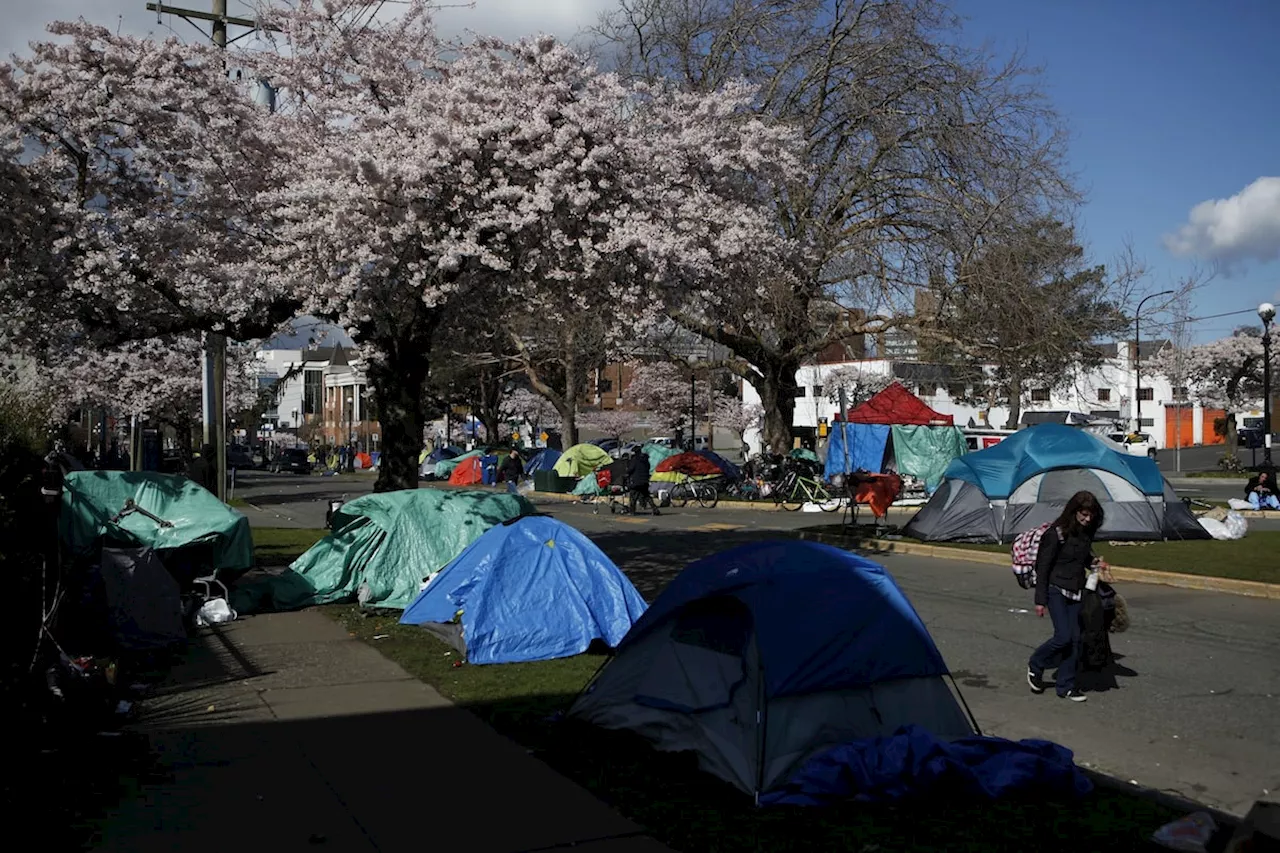 More shelter beds for people in Victoria street camp cited by police for ‘hostility’