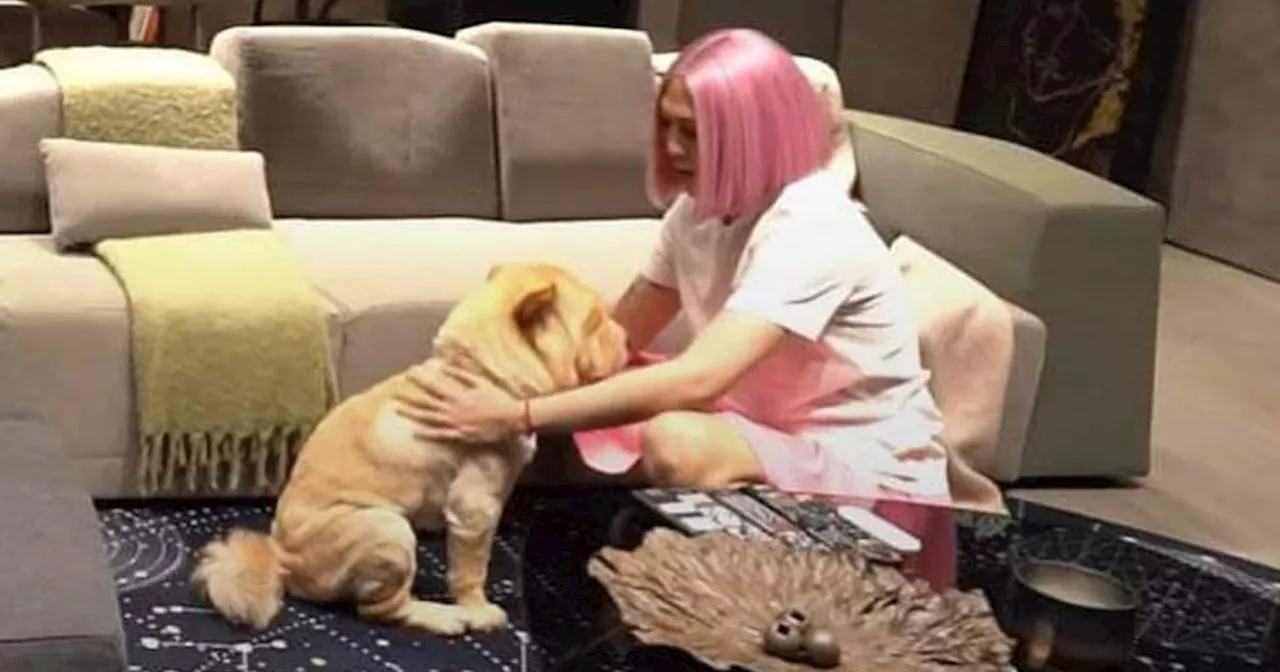 Vice Ganda mourns death of her fur baby Chip In