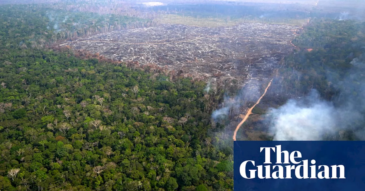 Brazil sends 1,500 firefighters to combat Amazon forest blazes